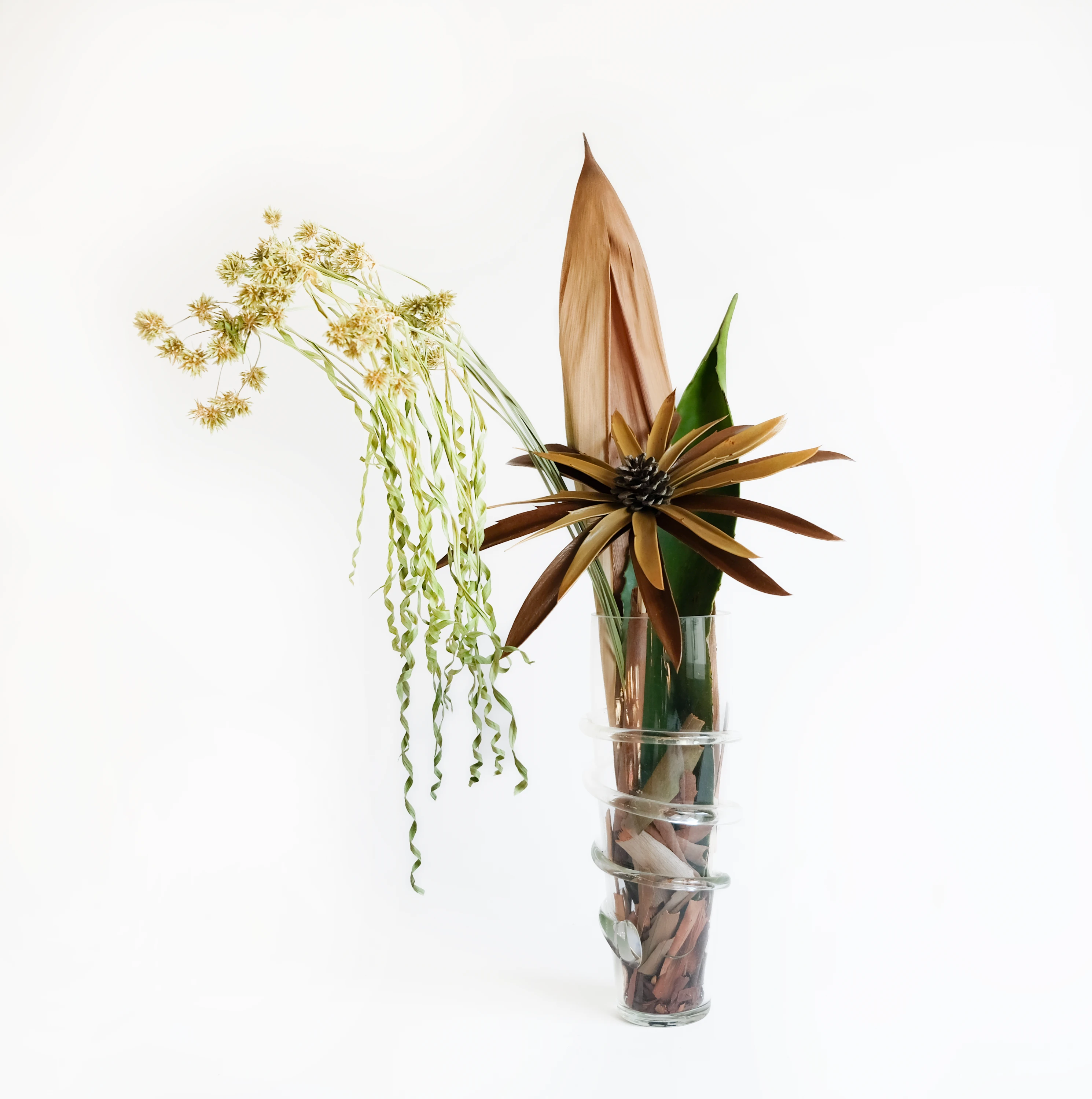 Botanical arrangement